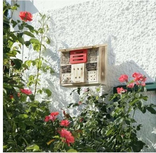 Produktbild Windhager Zur Linde (Florfliegen, Hummeln, Marienkäfer, Ohrwürmer, Wildbienen)