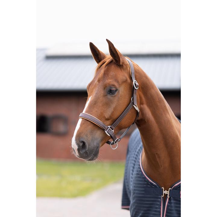 Image du produit Horze licol pour cheval sophistication leather