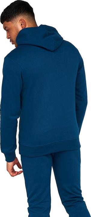Image du produit Born Rich Sweat à capuche Fontaine pour homme (L)