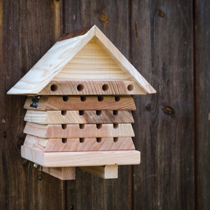 Actual product image Wildlife World Insect hotel Solitary bee hotel, animal species: insects (Wild bees)