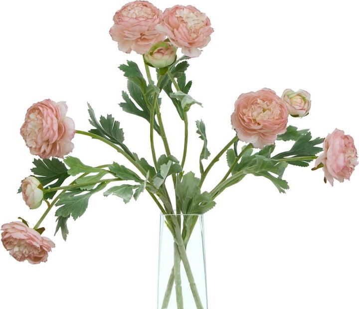 Immagine prodotto Hill Interiors The Natural Garden Collection Ranunculus Fiore Artificiale (50 cm)