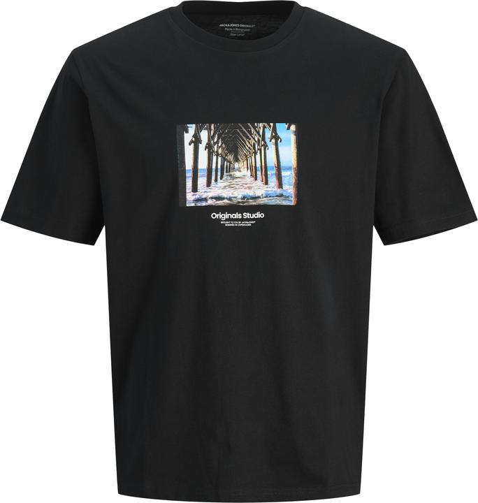 Jack & Jones Jorvesterbro Picture Tee Ss Crew Neck Sn