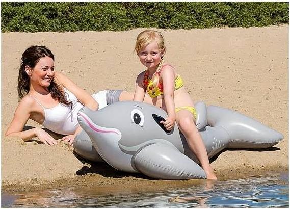 Actual product image Happy People Dolphin