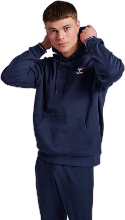 Actual product image hummel Ic Dayton Hoodie (S)