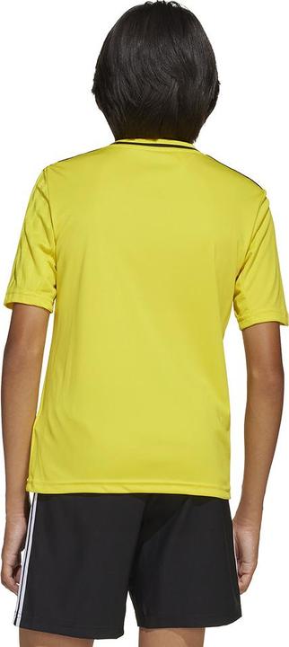 Image du produit adidas Maillot Campeon 25 Kids (164)