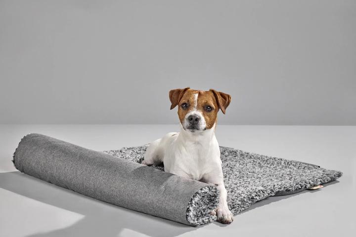 Actual product image Wolters Sweet Dreams (Dog)