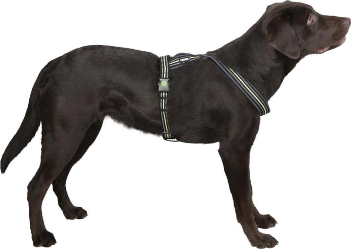 Produktbild Kerbl Geschirr (Hund, Hundesport)