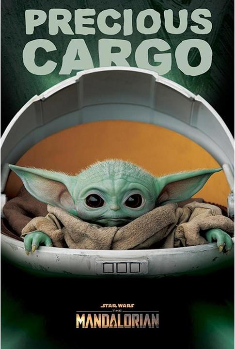 Produktbild Star Wars : The Mandalorian Poster Precious Cargo (61 x 91 cm)