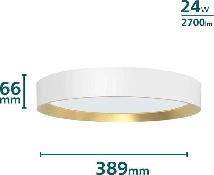 Actual product image Philips Hanno (2700 lm)