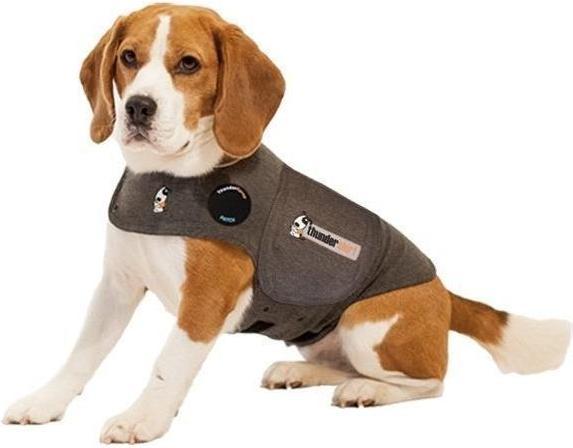 Produktbild Thundershirt Polo (M, Hundeweste)