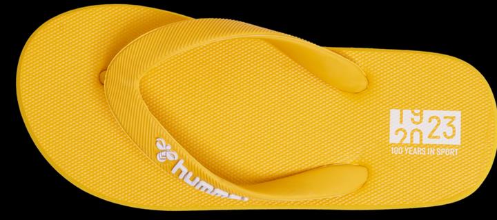 Image du produit hummel Flip Flop Jr (39)