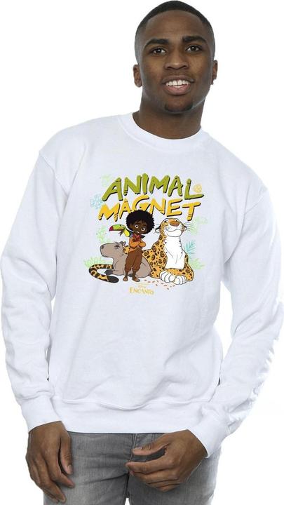 Produktbild Disney Encanto Animal Magnet Sweatshirt (L)