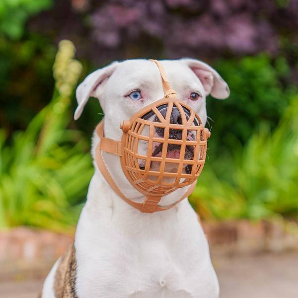 Actual product image Baskerville Maulkorb Wide Fit (Dog)