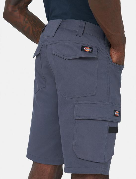Actual product image Dickies Shorts (56)