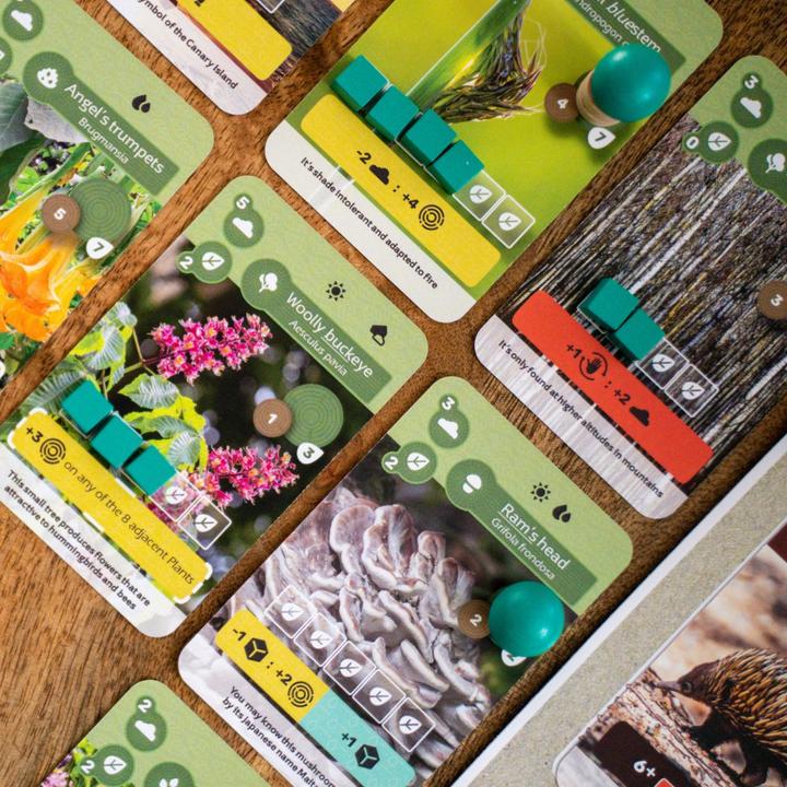 Image du produit Skellig Games Terre (Allemand)