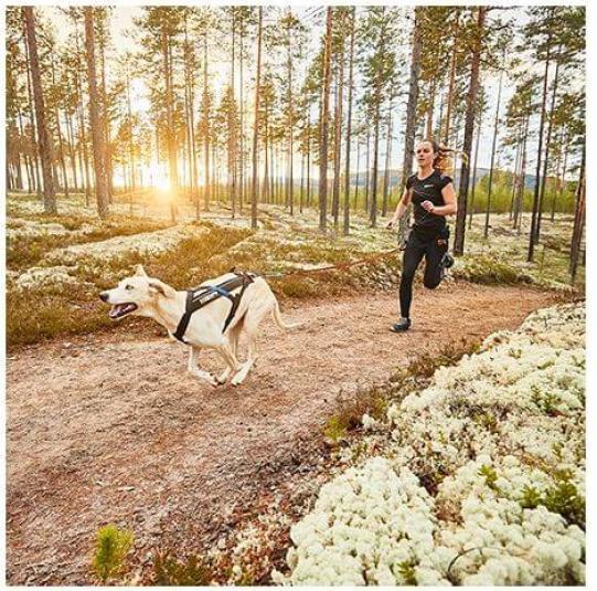 Produktbild Non-Stop Dogwear Freemotion Harness (10, Hund, Allgemein)