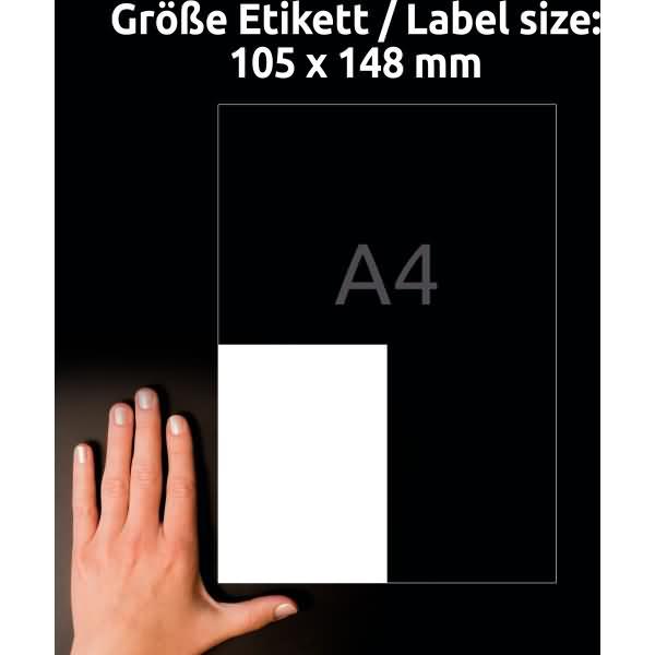 Image du produit Avery AVZ L8003-10 Étiquettes antimicrobiennes 105x148mm blanc