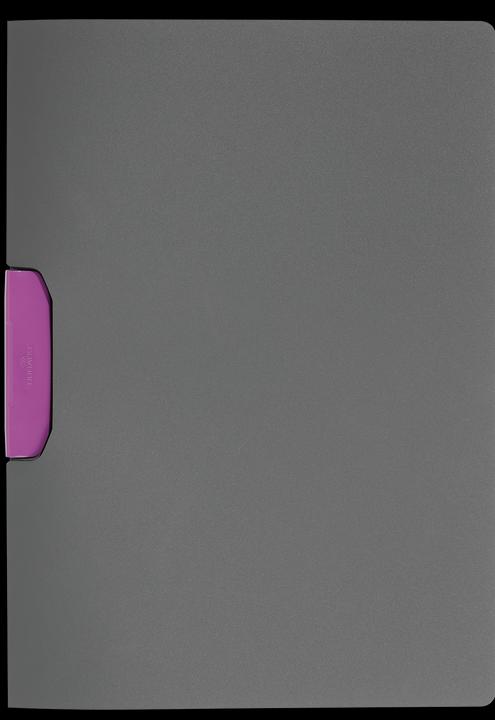Immagine prodotto Durable Cartella a clip Duraswing Color (A4, 1 x)