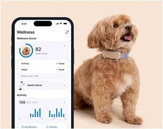 Actual product image Tractive GPS Tracker Dog 6 (Dog)