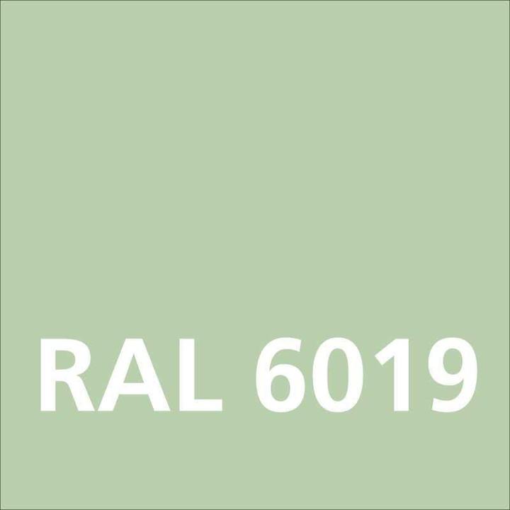 Actual product image Dupli-Color Glossy acrylic paint RAL 6019 pastel green (white-green, 0.40 l)