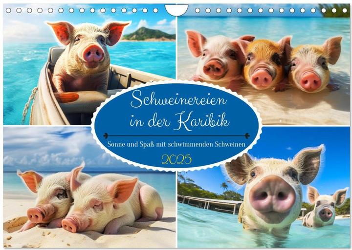 Produktbild Schweinereien in der Karibik. Sonne und Spa mit schwimmenden Schweinen (Wandkalender 2025 DIN A (A4, Kein Einband, Deutsch)
