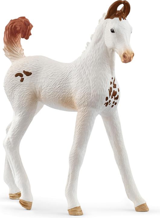 Schleich Marwari Fohlen