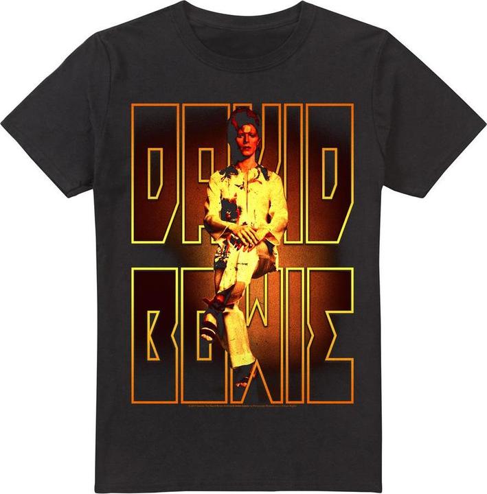 Actual product image David Bowie Mens Perched T-Shirt (3XL)