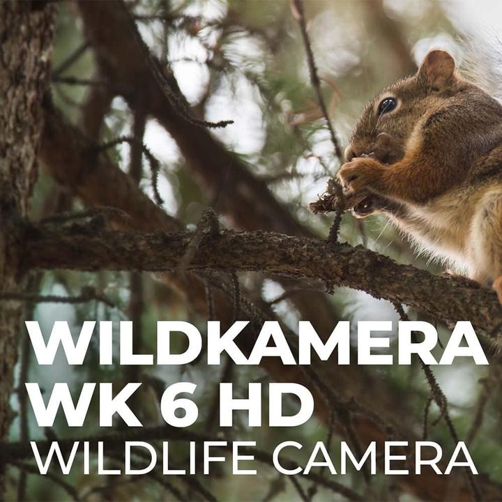 Image du produit Maginon Caméra pour la faune, WK 6 HD