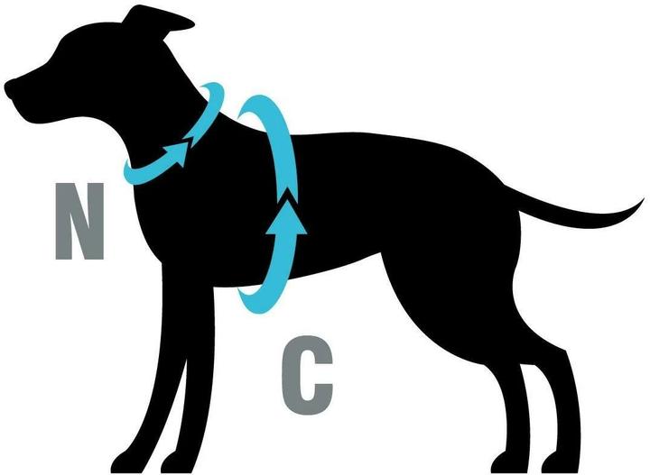 Produktbild Petlando Geschirr Y-Comfort Mesh, Anthrazit (S, Hund, Allgemein)