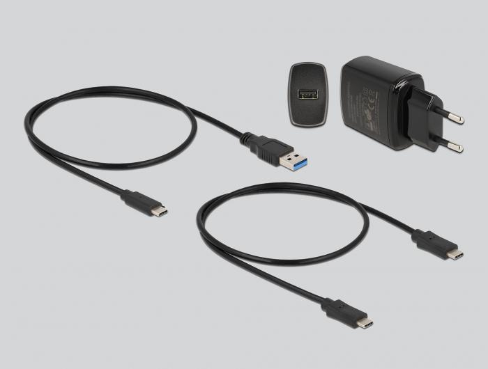 Actual product image Delock M.2 docking station for 2 x M.2 SATA SSD with clone function