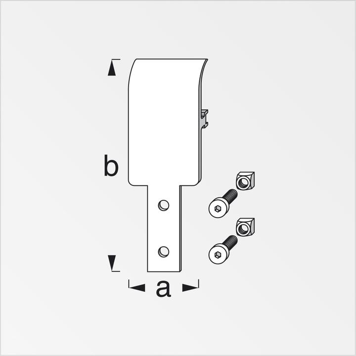 Produktbild Alfer Coaxis Abhängungsplatte