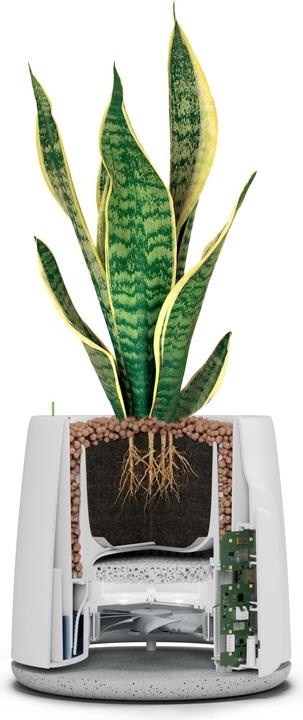 Image du produit Vitesy Natede Smart (20 m²)