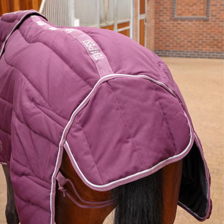 Actual product image Tempest Original 300g