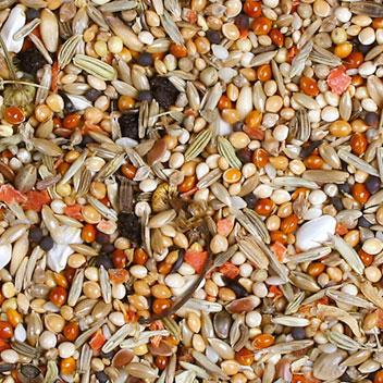 Image du produit JR Farm Birds Premium Perruche nymphe (1 x, 1 kg)