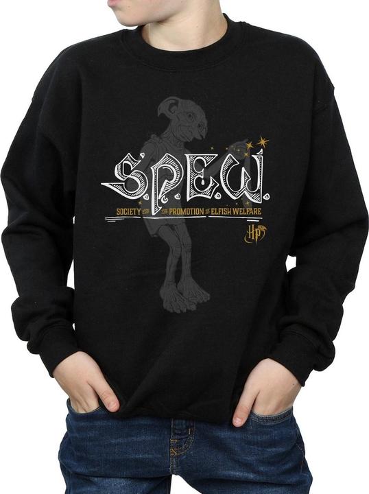 Actual product image Boys Dobby Elfish Welfare Sweatshirt (152, 158)