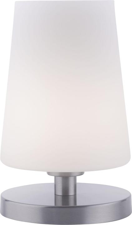 Paul Neuhaus steel LED table lamp 3000K 3W (245 lm, G9)