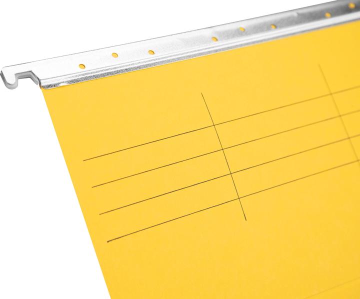 Actual product image Biella Suspension file (A4, 1 x)