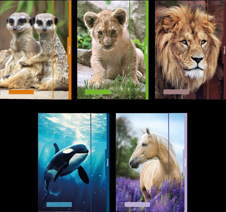 Productafbeelding Pelikan Assortiment A3 dieren map (A3, 1 x)