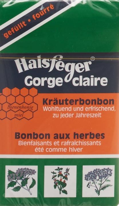 Image du produit Halsfeger bonbon aux herbes pastilles (1 pcs, 40 g)