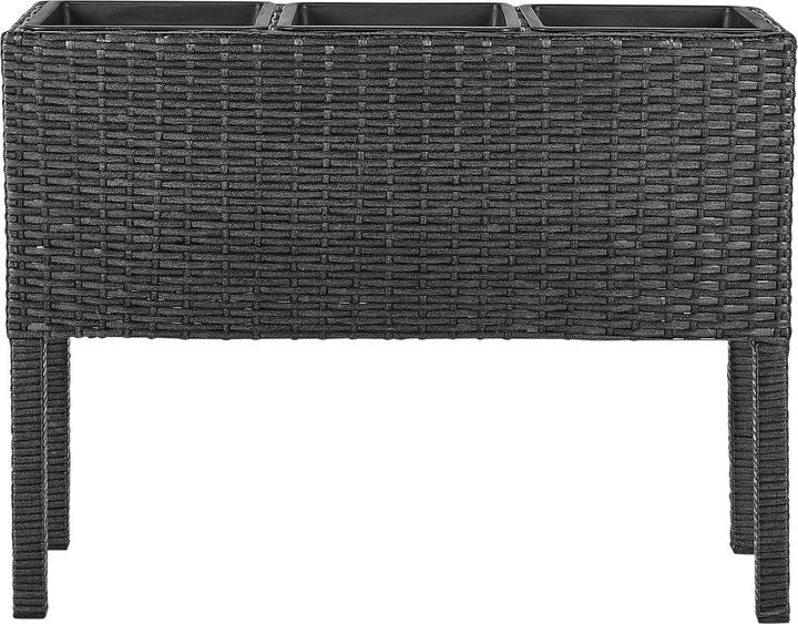 Actual product image Beliani Caragana (77 cm)