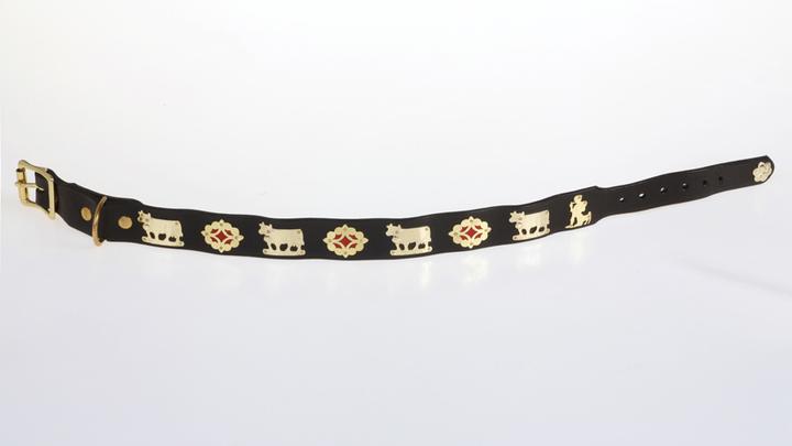 Produktbild Jenni Hemden Appenzellerhundehalsband (Hund, Spazieren)