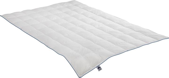 Immagine prodotto Irisette Piumino 4 stagioni Luna (920 g, 135x200 cm)