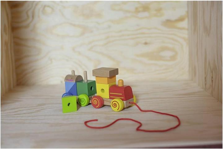 Actual product image Eichhorn Train