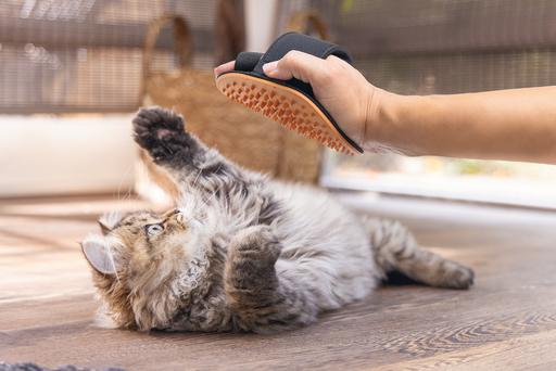 Immagine prodotto Beeztees Pflegehandschuh (Gatto)