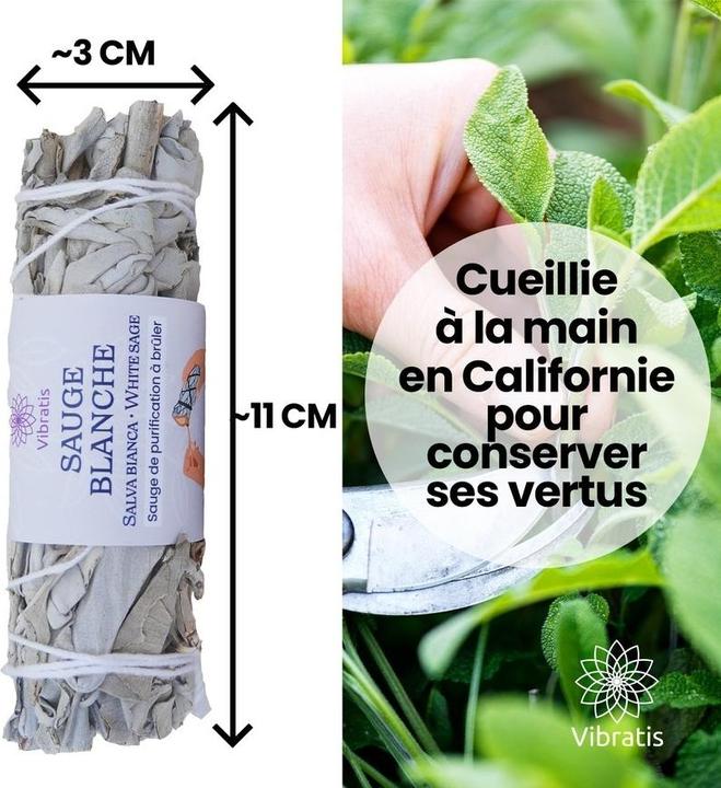 Actual product image Vibratis Sage