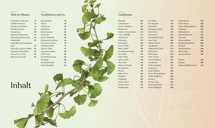 Produktbild Bäume - Eine Natur- und Kulturgeschichte (Deutsch, Andrew Mikolajski, Michael Scott, Keith Rushforth, Dr. Ross Bayton, Agnes Pahler, 2022)