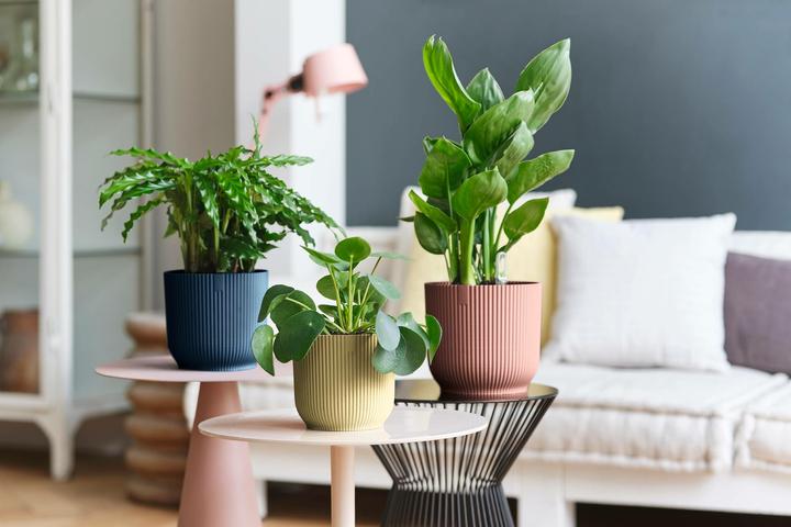 Produktbild Elho Vibes Fold (22 cm)