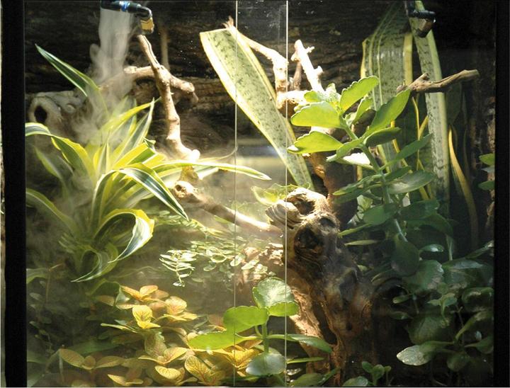 Immagine prodotto Lucky Reptile Super nebbia II (33 W)