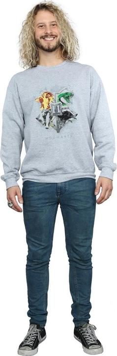 Produktbild Hogwarts Painted Crest Sweatshirt (L)