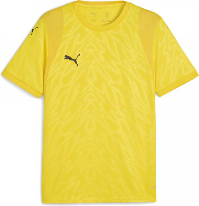 Image du produit Puma teamCUP Jersey (3XL)